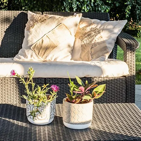 Curte Nicia Gæstehus 3*