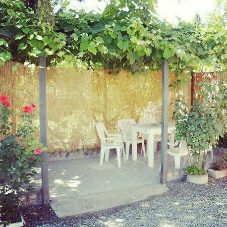 Curte Nicia Nizza Monferrato