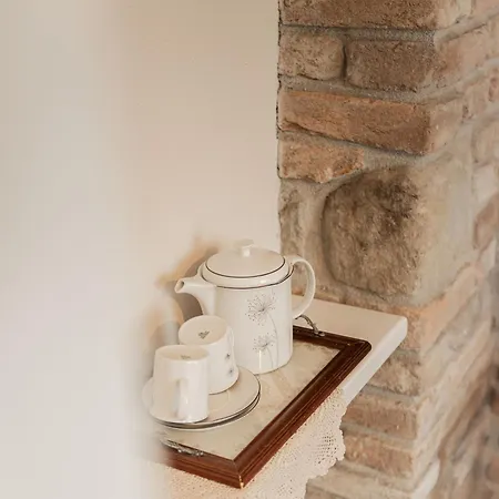 Guest house Curte Nicia